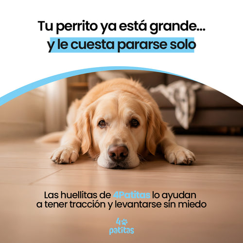 Huellitas Antideslizantes